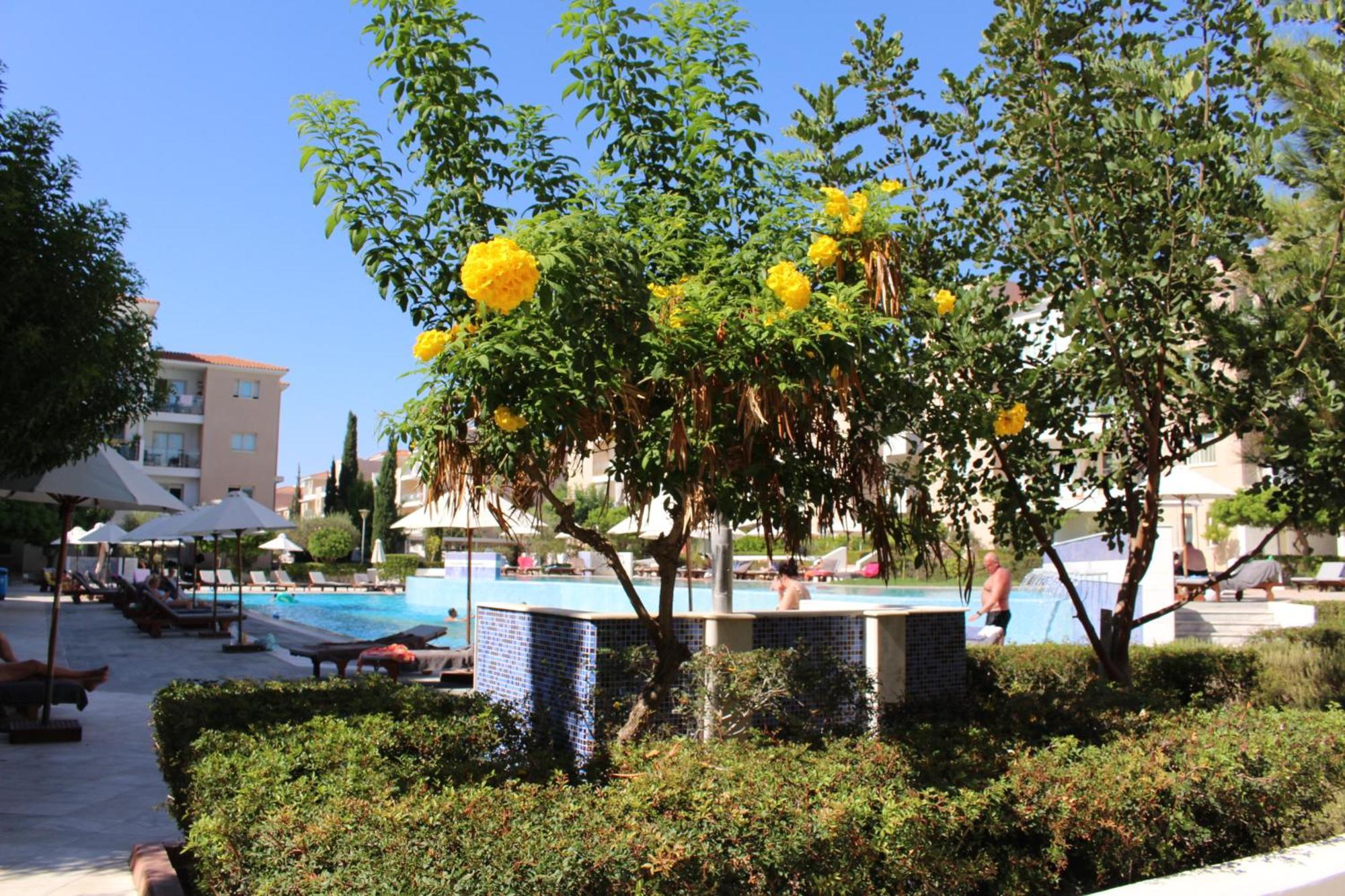 Daire Modern Vacation At Elysia Park *